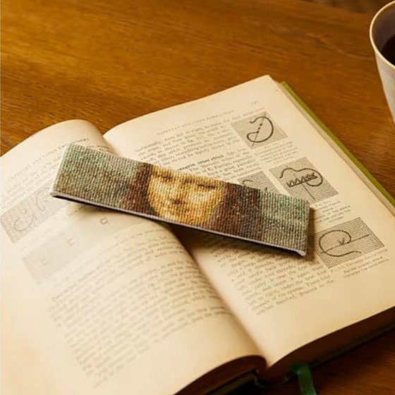 DMC Cross stitch kit bookmark- ���� ����
